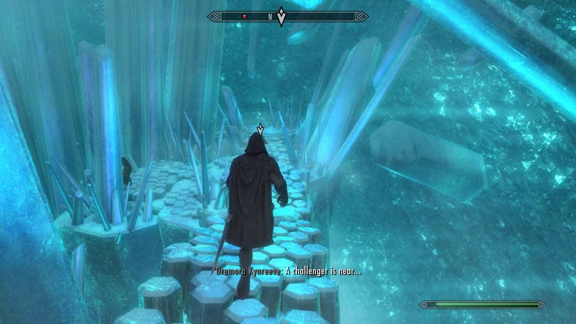 The Elder Scrolls V: Skyrim