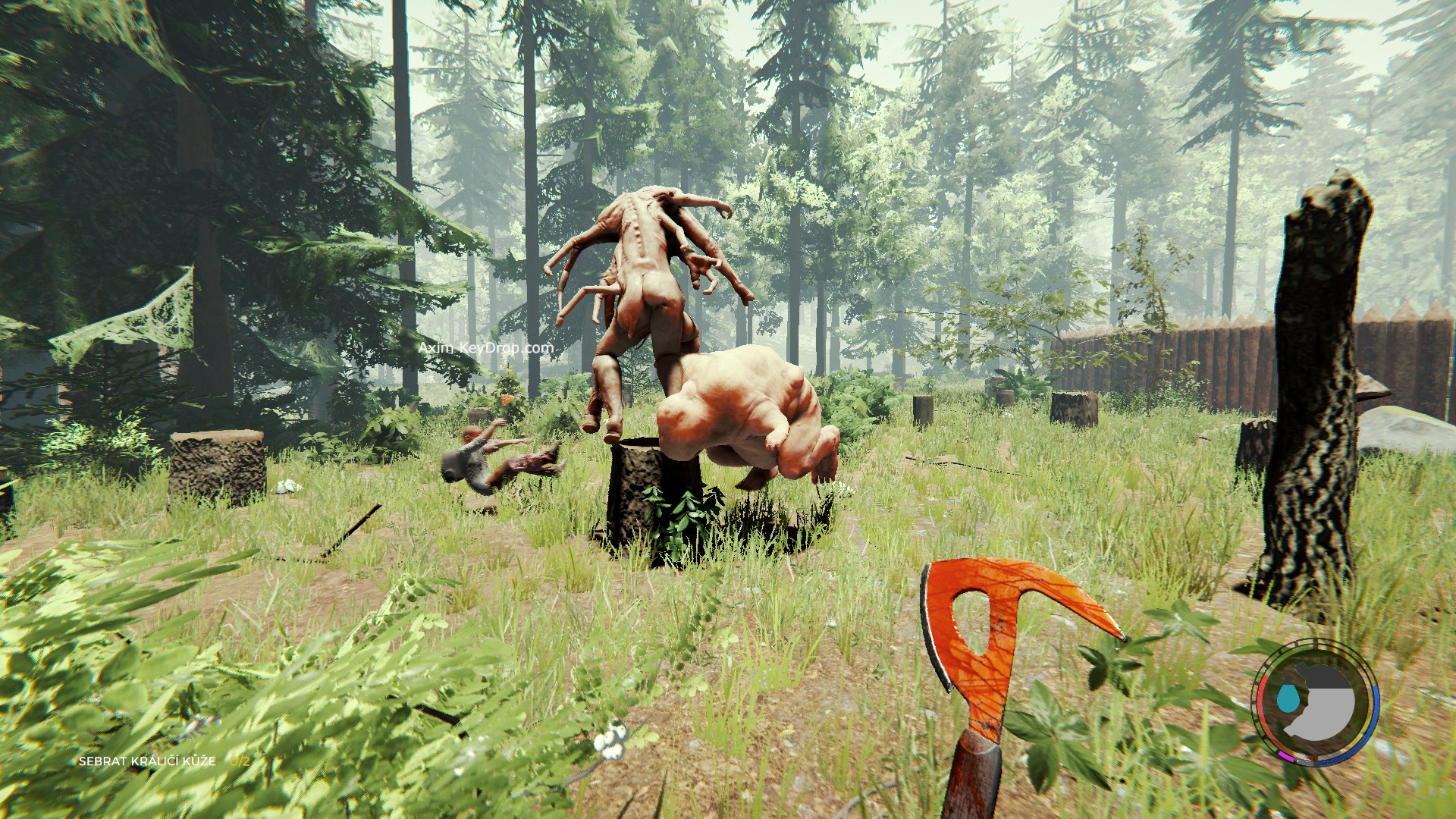 The Forest