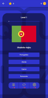 Flag it - quiz